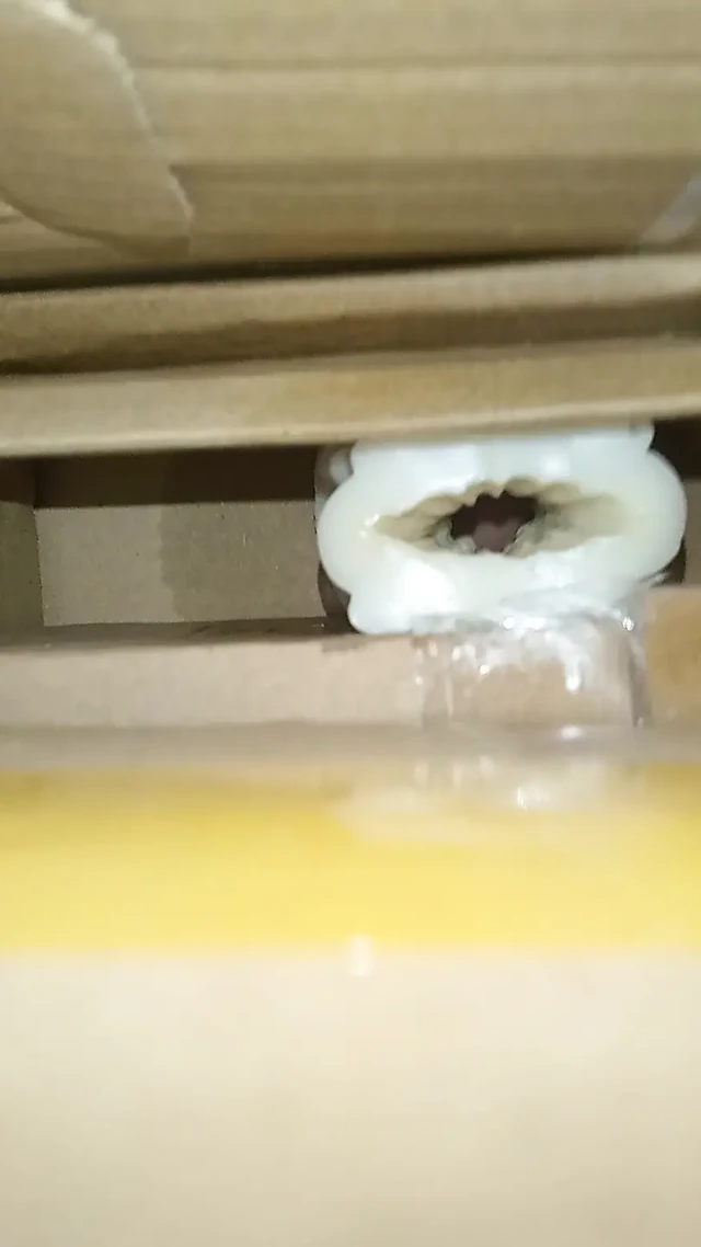 Ev yapımı silikon amın içine boşalma 4
