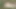 Sevimli bir kız bahçede makine pozisyonunda bir adamla seks yapıyor ve birden fazla orgazm oluyor - animasyonlu porno videosu