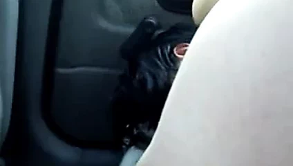 Arkadaşımın zengin amcığı