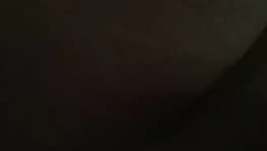 O kedi tamamen ıslak