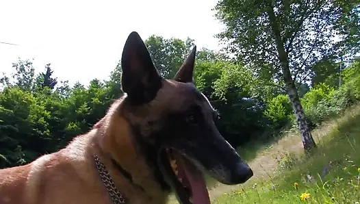 Filme alınmayı seven azgın esmerle açık havada anal sikiş