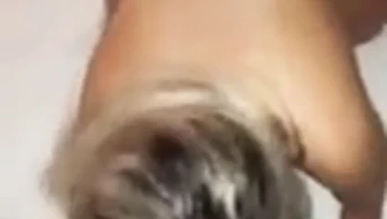 Boquete antes da metida puta vagabunda