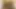 Asian Beauty with Blonde Hair: Heartfelt Romantic Moments