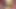 Piggy Rose büyük ayı ve lucipork ile xbiz miami'de yayın yapıyor