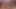Kim onu daha iyi emiyor, orta yaşlı seksi kadın mı yoksa tgirl mi?
