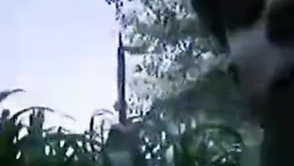 Desi kız kahrolası ile ona erkek arkadaş içinde the jungle 6