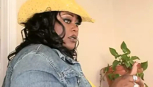 Düzgün vücutlu civciv gets ona ıslak kedi çarptı