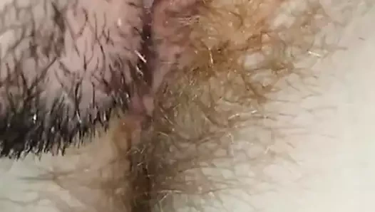 yalama kıllı KEDİ