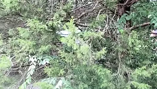 Siyah yerli milf ile bir büyük sulu ganimet