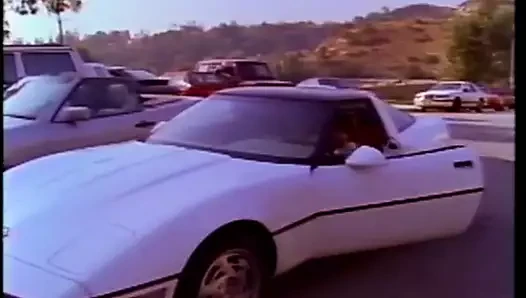 pembe kedi (1992)
