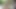 Japon seks tanrıçası açık havada sert eğlencenin tadını çıkarıyor ve her yere boşalıyor!