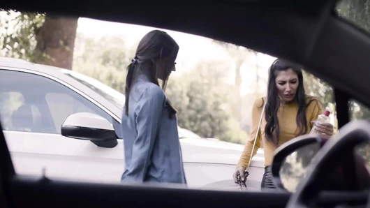 Zorbalık lezbiyen bir kaltağın kabusuna dönüşüyor