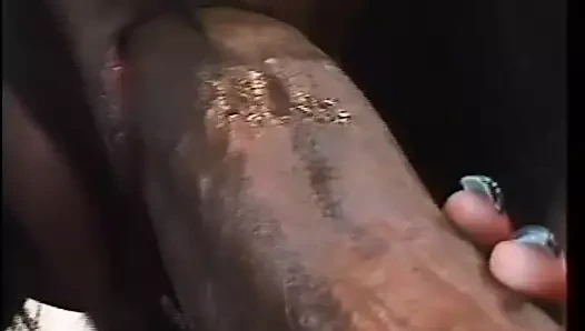 Büyük musluklar için siyah kedi- vol. #07