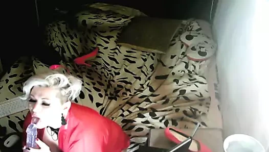 Aimee şeffaf bir horoz berbat! seviyor gibi görünüyor!