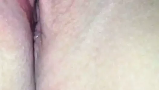 ıslak KEDİ olmak yaladı yakın Yukarı