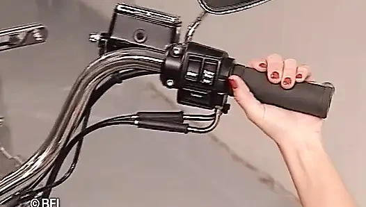 Flanders'ta porno bölüm 1