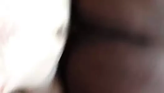 Kahrolası şişman çikolata ganimet itibaren the arka