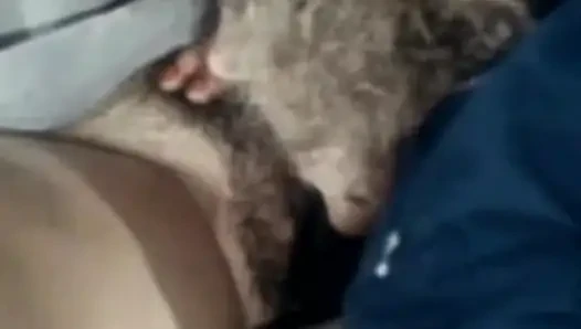 Hafta sonu kovboy kız ranch romp