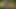 Brachte Seinen Schritt In Den Wald Und Fickte Hart In ANAL