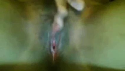 Dik abanoz pyt kedi oyun