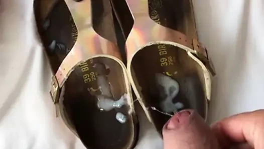 Freundins Birkis besamt