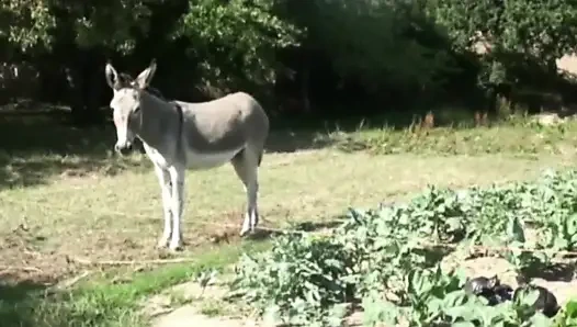 Nathan fayss oudoor tarafından sikiliyor