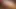 Oyuncu kız arkadaşının odasında iyi siyah amcığını yalıyor ve sikiyor