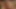 GoPro Cumshot - SlugsOfCumGuy