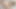 Redhead genç elnara kedi daha fazla acı istiyor