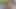 Mofos - bu ateşli porno yıldızları havuz partisinde gece gündüz emiyor ve sikişerek bağımsızlıklarını kutluyor