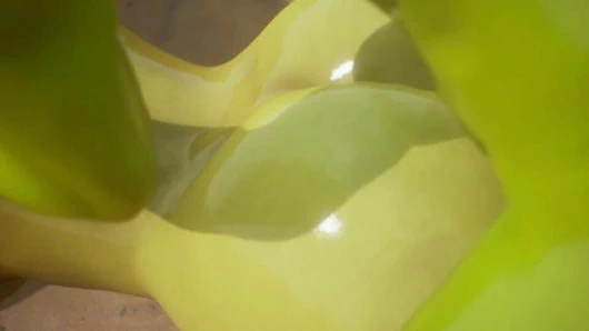 Yaban hayatı, mükemmel sıcak sert seks, yoğun lezzetli zevk