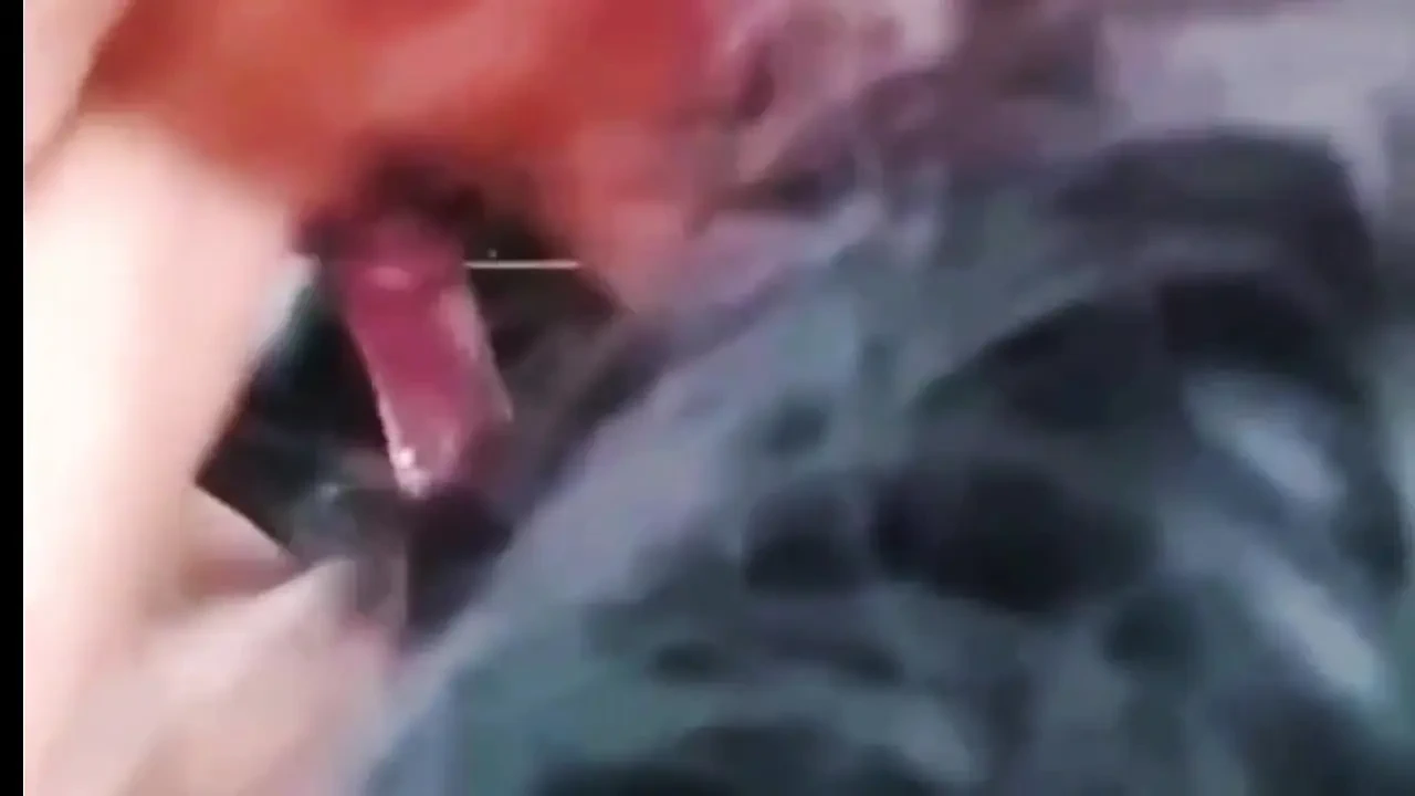 A Beautiful Teacher When You Have the Opportunity