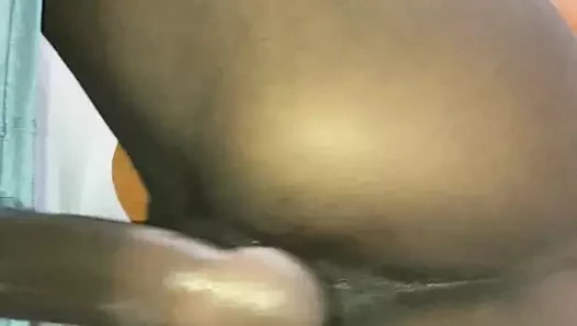 ıslak KEDİ Zıplayan üzerinde siyah dick