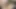 Anal kedi yapay penis mastürbasyon solo tarafından snahbrandy