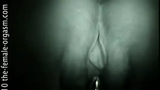 T Kelebek Altları Yukarı