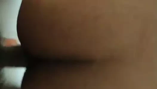 Köpek stilini seviyor