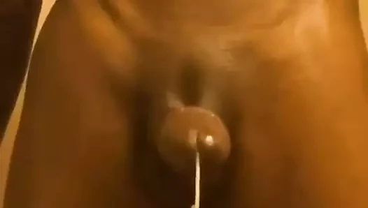 harika slomo twinks