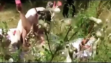 Sürtük ile büyük sahte memeler sikikleri çok yabancılar açık havada