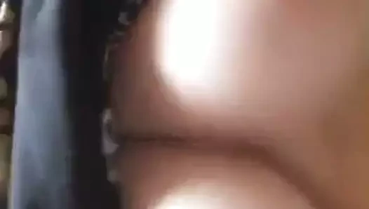 Büyük baştankara bbw teaser