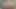 Stepbro yanlışlıkla benim ıslak kedi twerking üzerinde horoz creampies