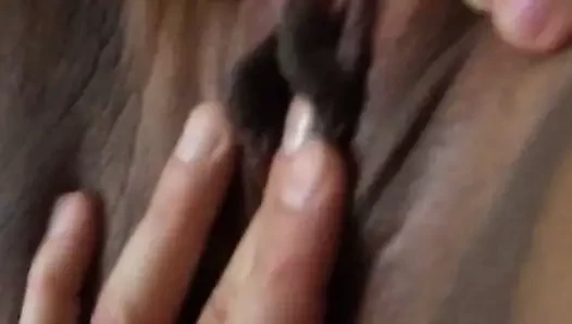KEDİ yalamak