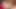 Üst düzey sarışın Fransız bebekler yoğun lezbiyen eyleminde dildo paylaşıyor