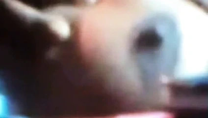 Sri Lankalı bayan ''punya'' web kamerasına 3 gösteriyor