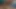 Bu adamlar seks yaparken kameraya bakmayı seviyor