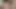 Cumshot Derleme 4