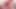 Kırmızı iç çamaşırlarımla dildo emiyor