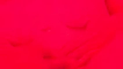 sanki kurbanlik koyun aliyor