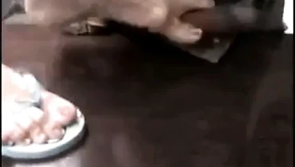 ayak işi