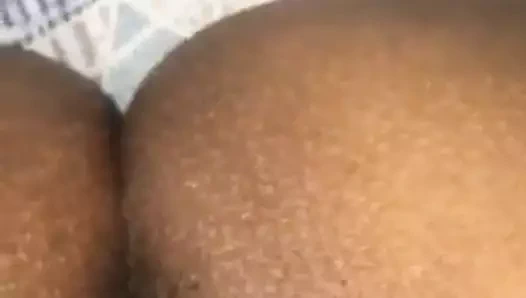 Png güzel sıcak kedi yayılma