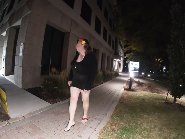 Horny mature sissy TV is whoring around the street corner for fun Tonight